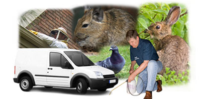 Altrincham local van